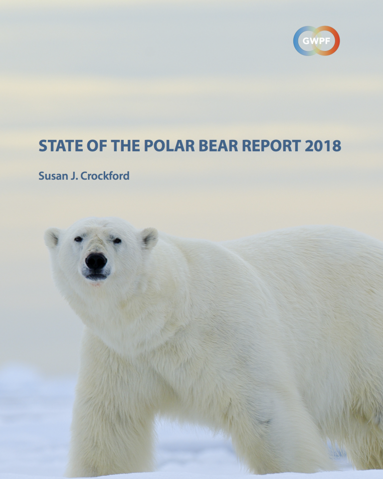 STUDY Polar Bear numbers reach new highs Population increases to the