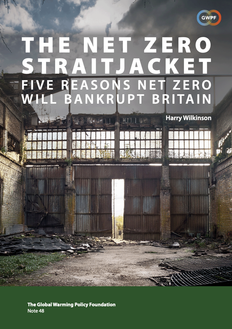 The Net Zero Straitjacket